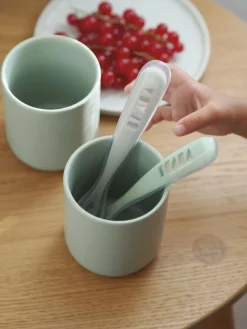 Beaba Set van 2 Siliconenlepels 1ste Leeftijd met Reisetui (Velvet Grijs+Sage Green)