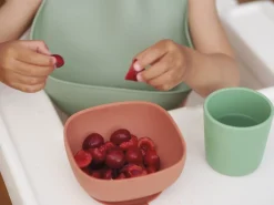 Beaba Siliconen Maaltijdkoffer 4 Stuks - Mineral/Groen/Terracotta