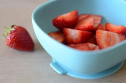 Beaba Siliconen Maaltijdkoffer 4 Stuks - Jungle - Ass Blauw