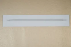 Born Lucky Wandrek Betsy