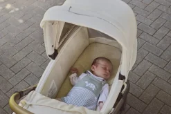 Chicco Reiswieg Flexi Amber Glow