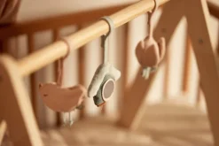 Jollein Babygym Speeltjes Lovely Birds