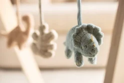 Jollein Babygym Speeltjes Roarsome