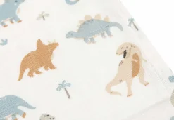 Jollein Hydrofiel Monddoekje 31x31cm Roarsome (3pack)