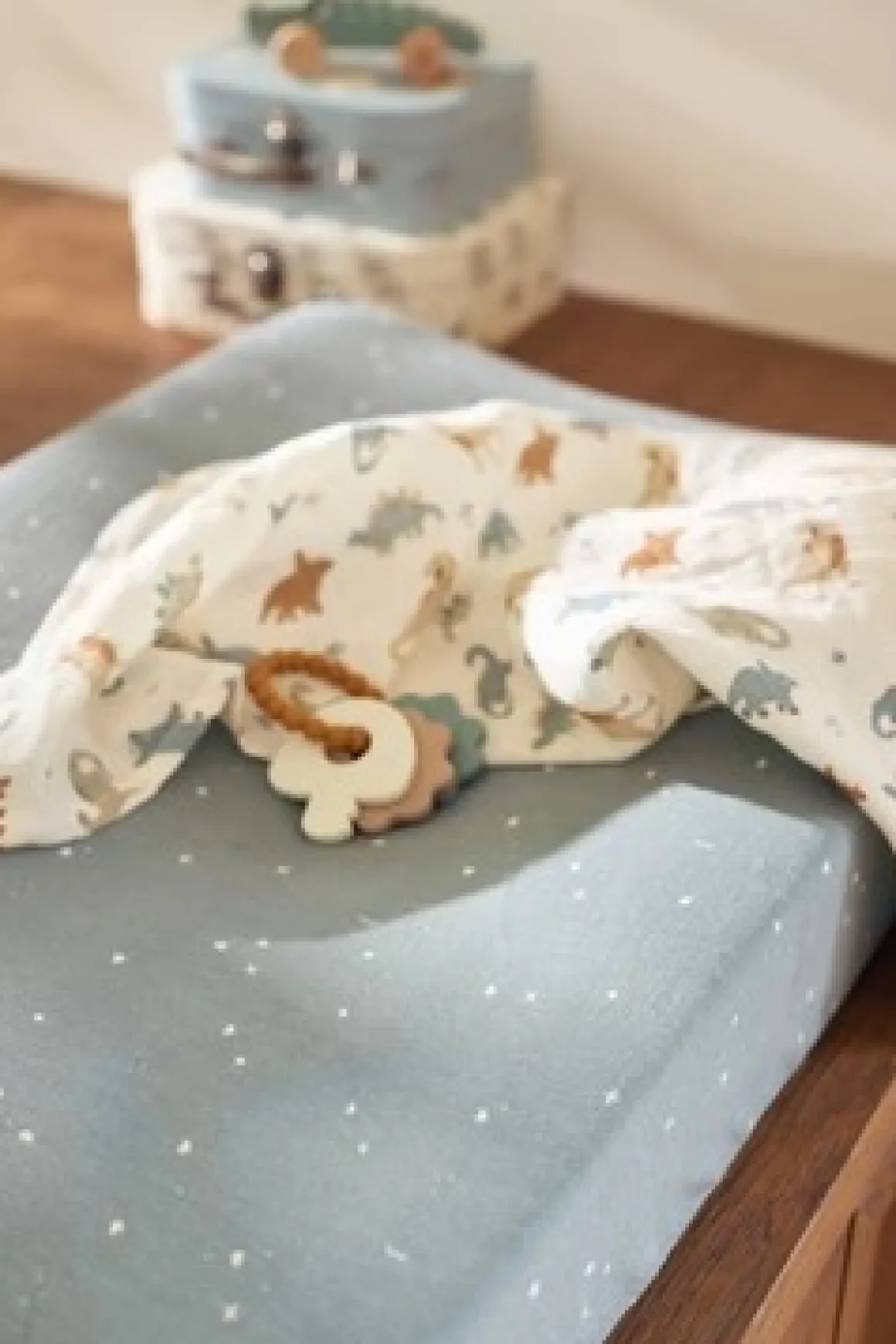 Jollein Hydrofiele Doek Small 70x70cm Roarsome (3-pack)