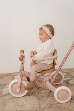 Little Dutch 4 in 1 Driewieler Pink