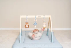 Little Dutch Babygym Forest Friends