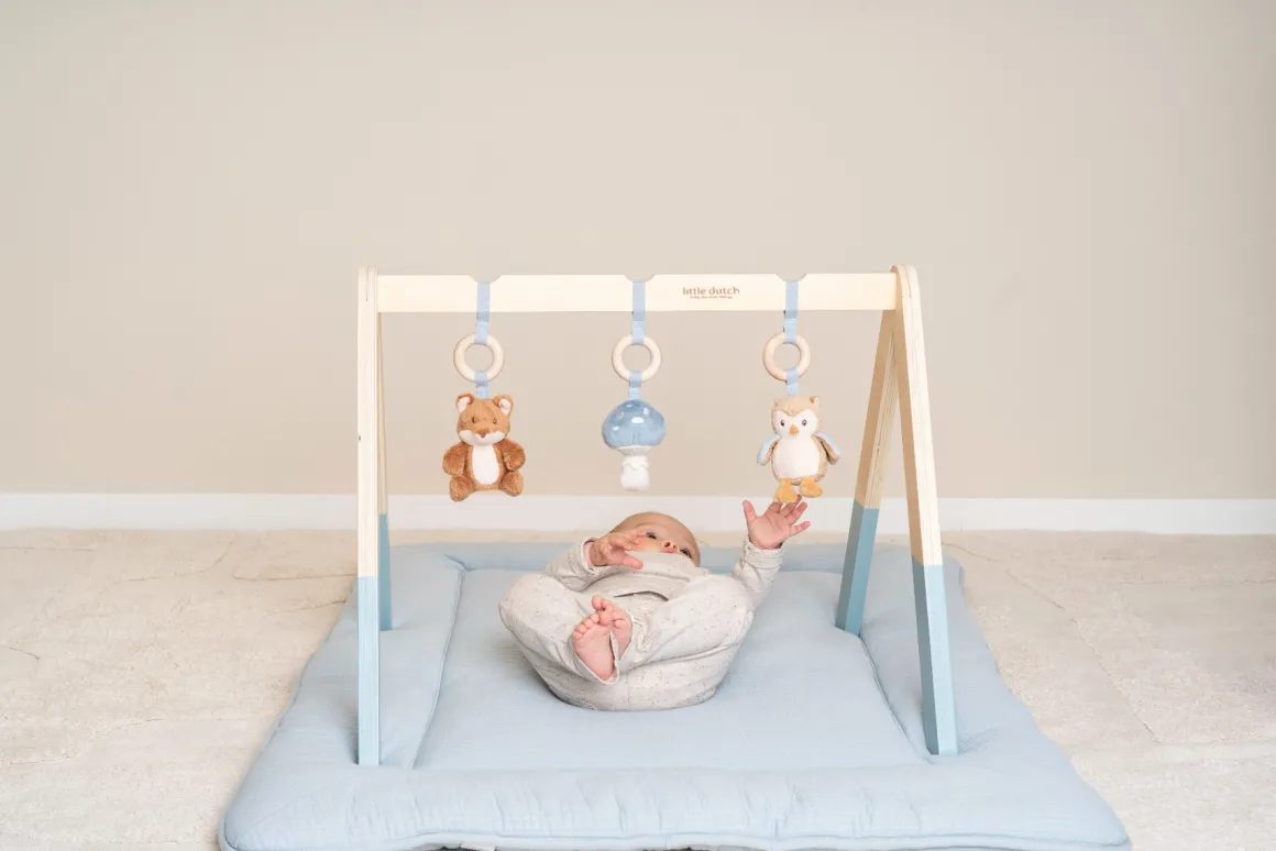 Little Dutch Babygym Forest Friends