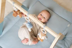 Little Dutch Babygym Forest Friends