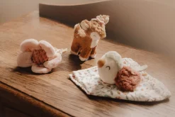 Little Dutch Giftset Knuffels Fairy Garden GRS