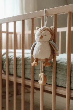 Little Dutch Muziekdoosje Uil Forest Friends GRS