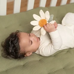 Little Dutch Rammelaar Bloem Little Farm