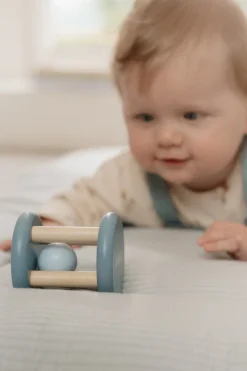 Little Dutch Rammelaar Roller Forest Friends FSC