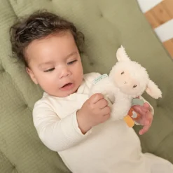 Little Dutch Rammelaar schaap Little Farm