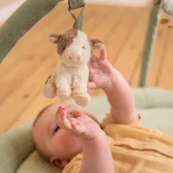 Little Dutch Speelkleed met Boog Little Farm