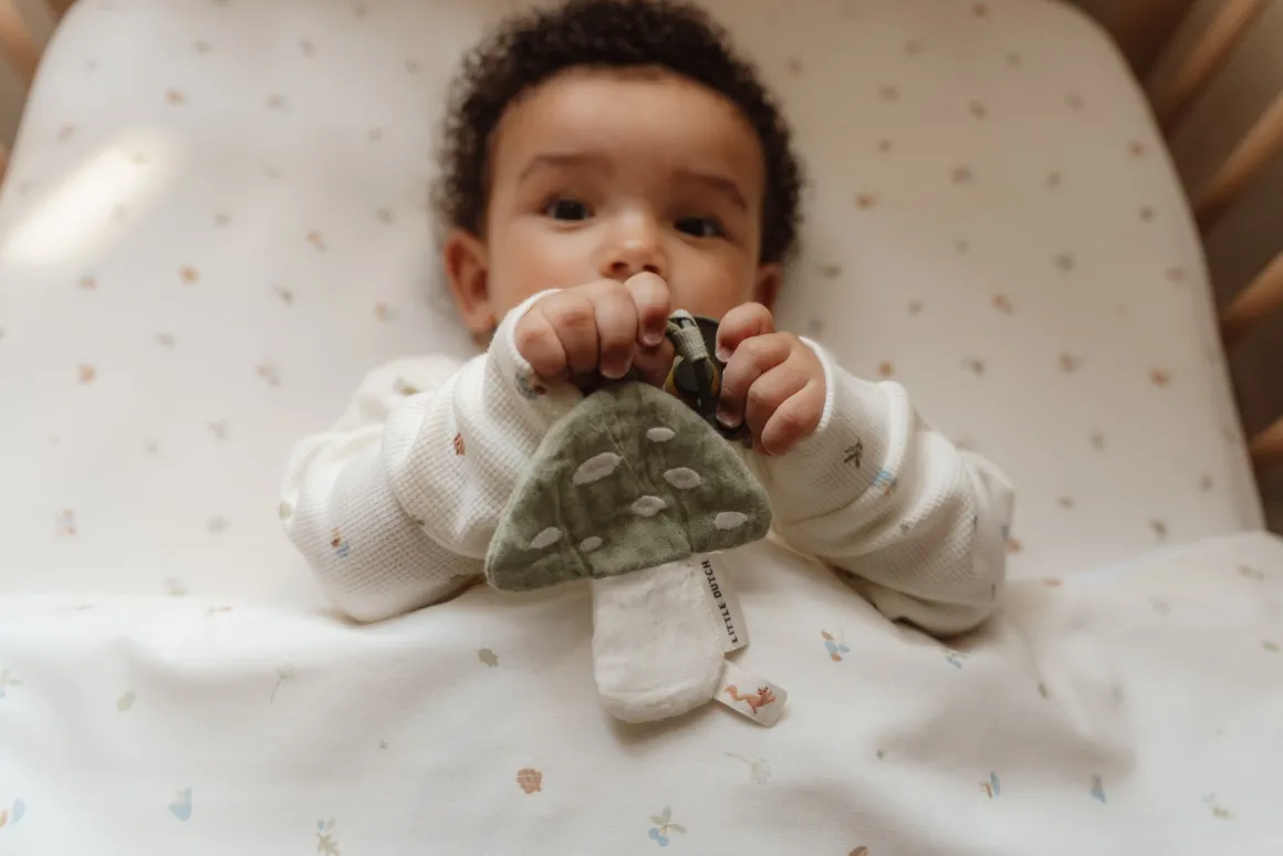 Little Dutch Speendoekje Hydrofiel Paddenstoel