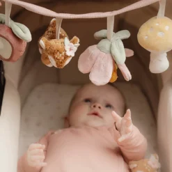 Little Dutch Wagenspanner Fairy Garden GRS