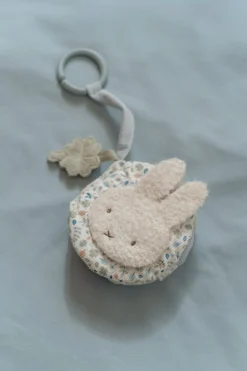 Nijntje Buggyboekje Lucky Leaves