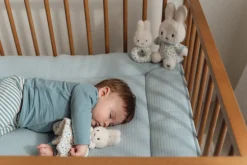 Nijntje Geschenkdoos Lucky Leaves