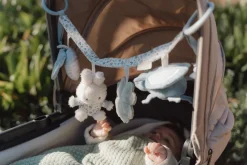 Nijntje Wagenspanner Lucky Leaves