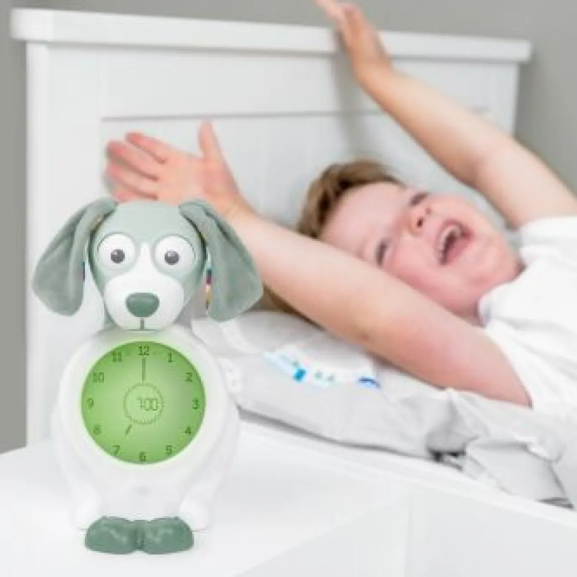 Zazu Slaaptrainer Davy De Hond Green