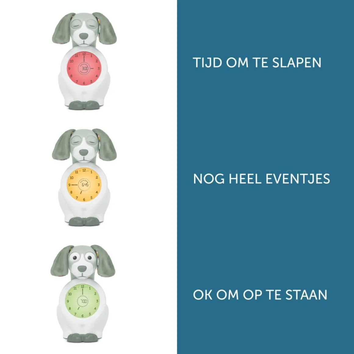 Zazu Slaaptrainer Davy De Hond Green