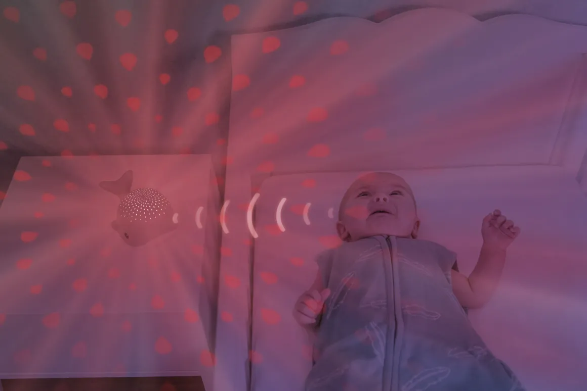 Zazu Wally De Walvis Projector Grey