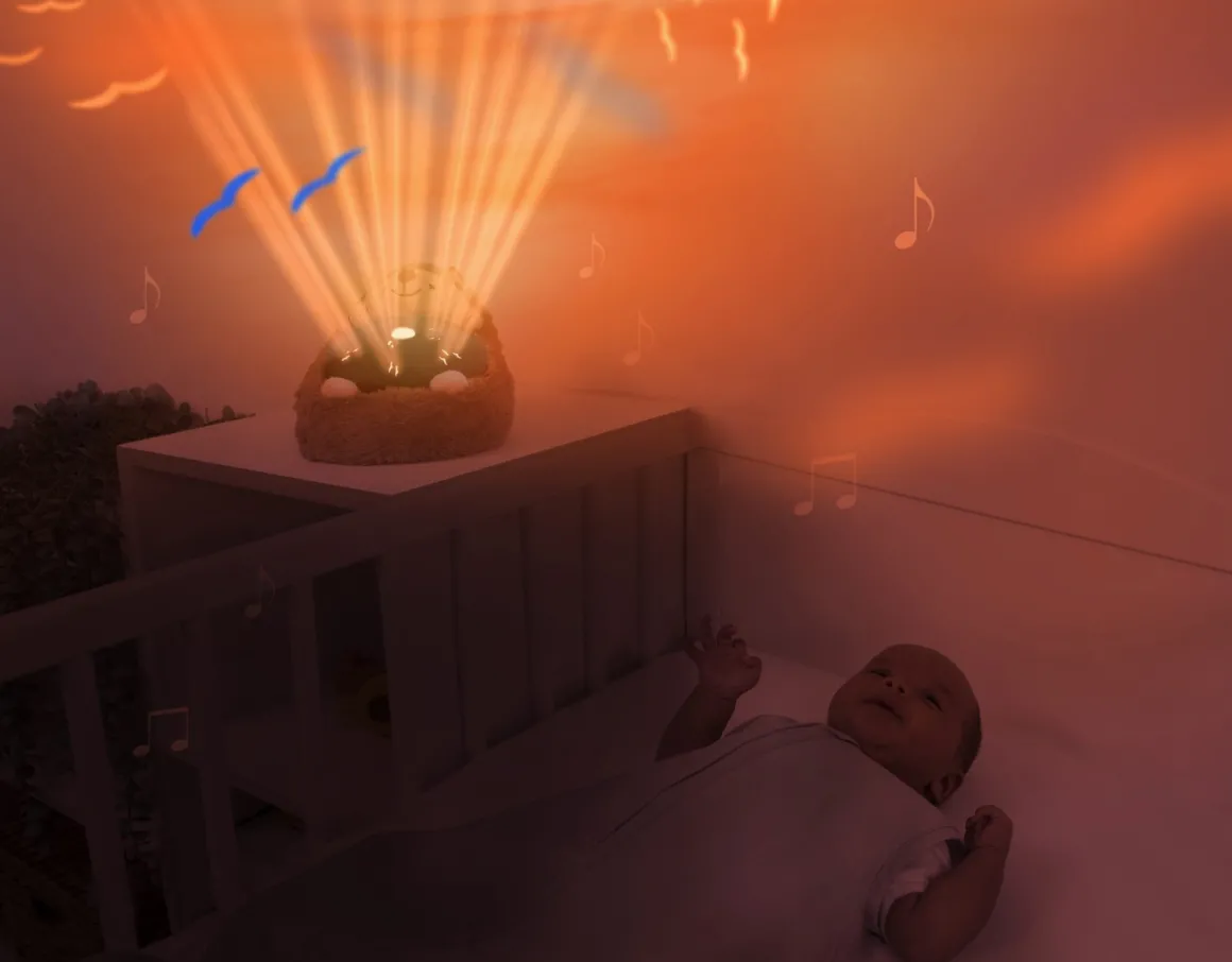 ZAZU Zonsondergang Projector Henry de Egel